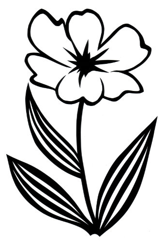 cut paper design Simple Flower
