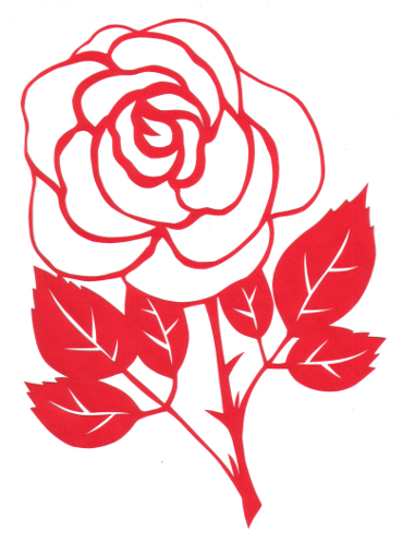 cut paper design White Rose